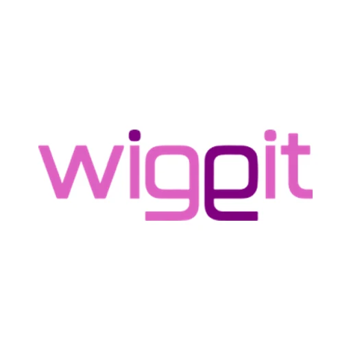 WIGgIT logo