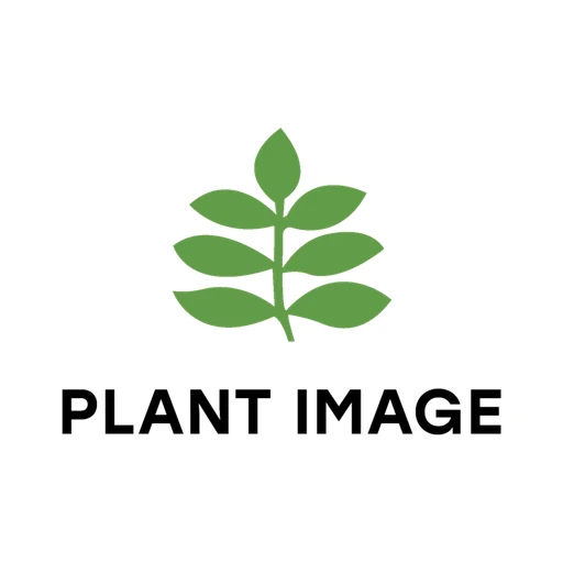 Plant Image logo